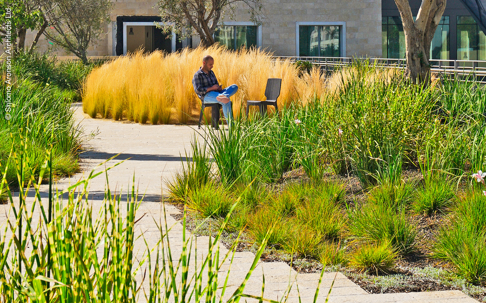 Various types of plants create structure within the garden. Man sitting on a roof garden